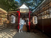 2025自強活動阿里山