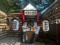 2025自強活動阿里山