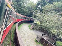 2025自強活動阿里山