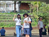 2025自強活動阿里山