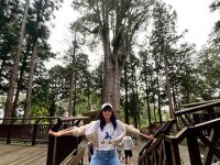 2025自強活動阿里山