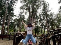 2025自強活動阿里山