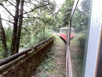 2025自強活動阿里山