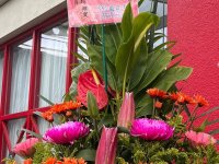 113.03.26第五屆第三次會員代表大會
